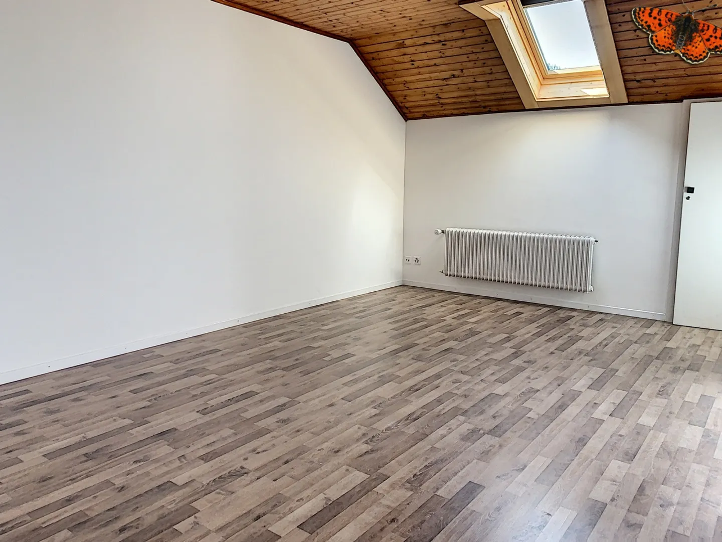 BELLO STUDIO in campagna - Foto 3 di 6