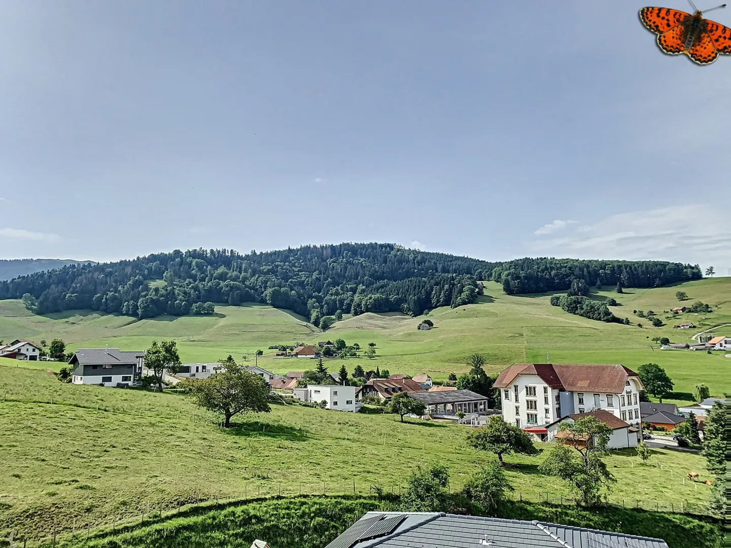 BELLO STUDIO in campagna - Foto 6 di 6