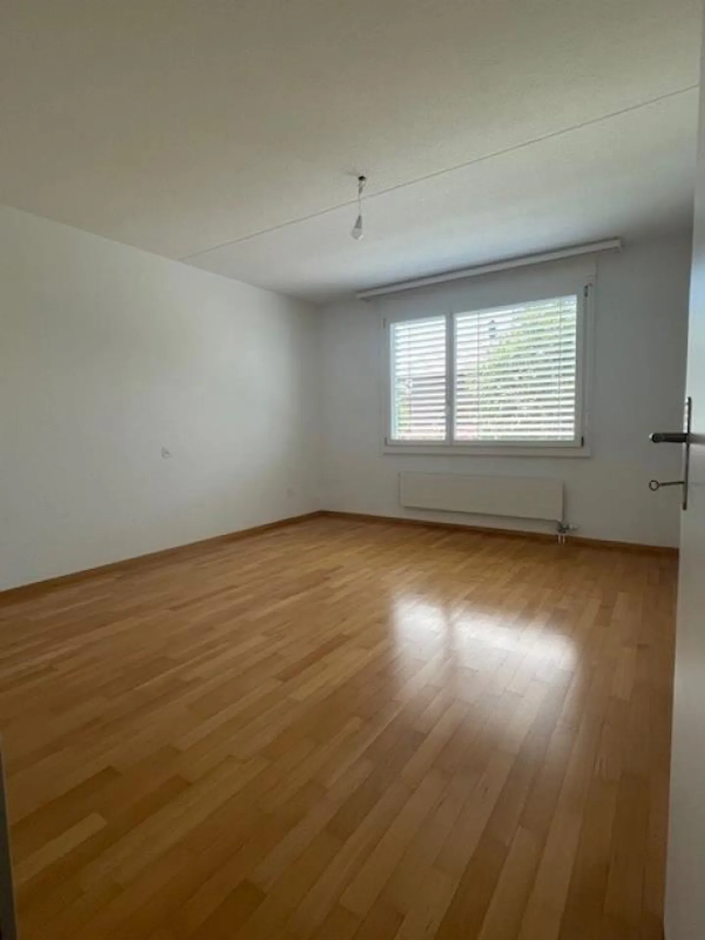 Ampio Appartamento con Nuova Cucina - Foto 5 di 9
