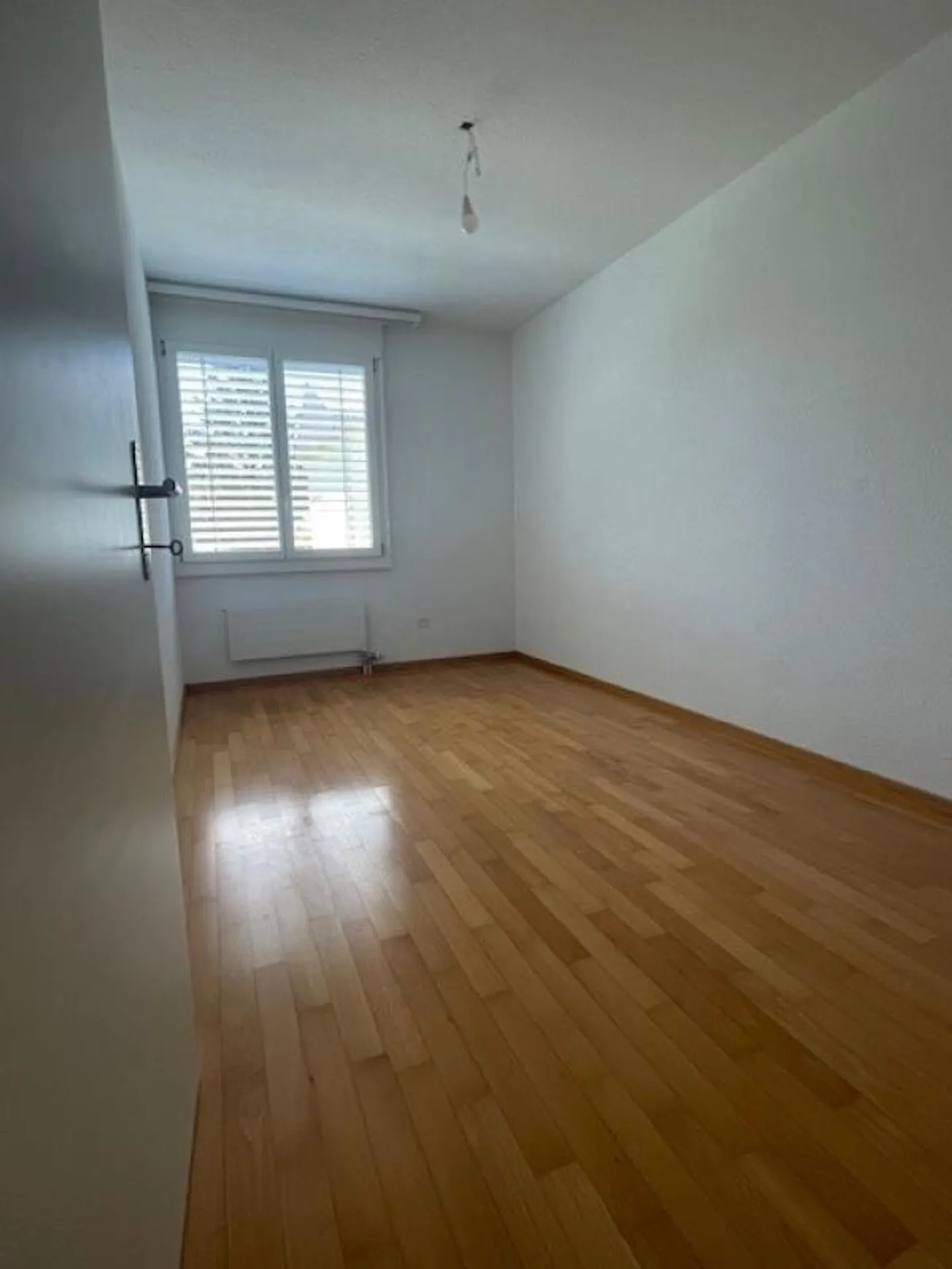 Ampio Appartamento con Nuova Cucina - Foto 6 di 9