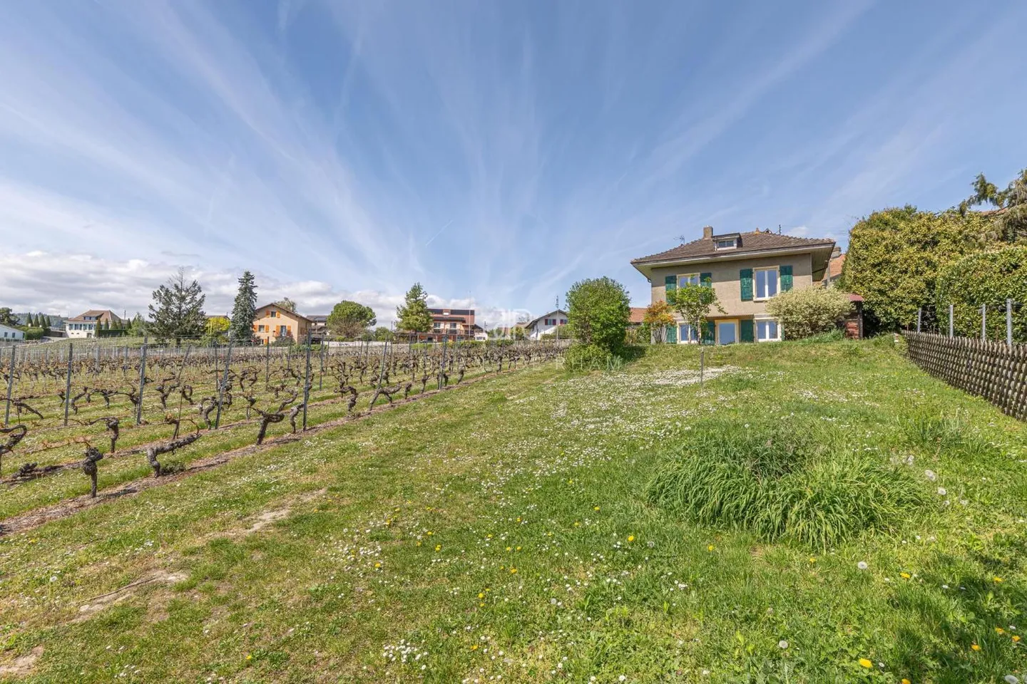 Charming House in the Vineyards - Photo 1 of 9