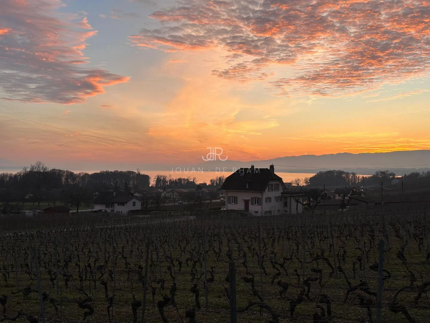 Charming House in the Vineyards - Photo 8 of 9