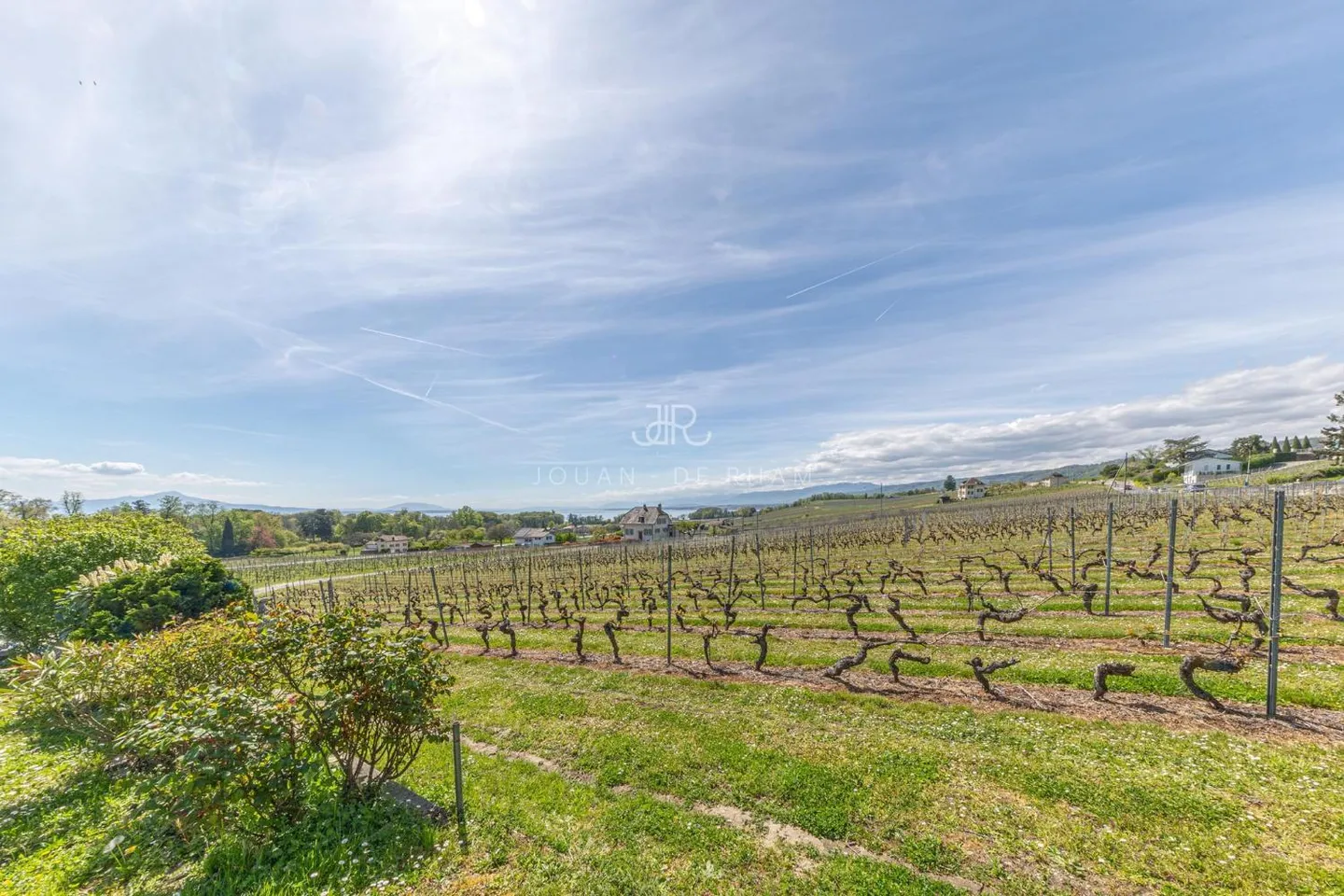 Charming House in the Vineyards - Photo 9 of 9