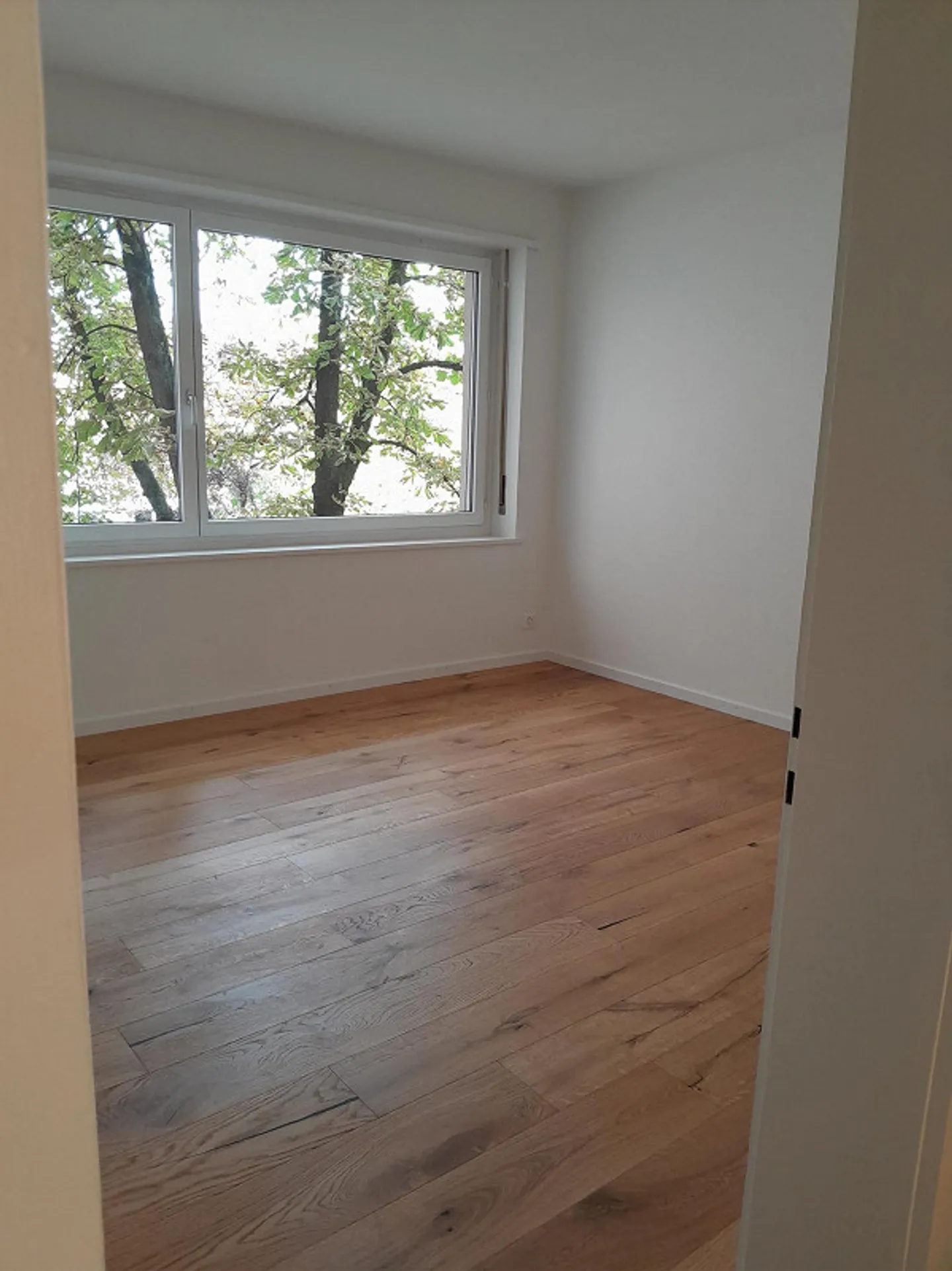 Charmante Wohnung nähe Schützenmattpark - Foto 6 von 10