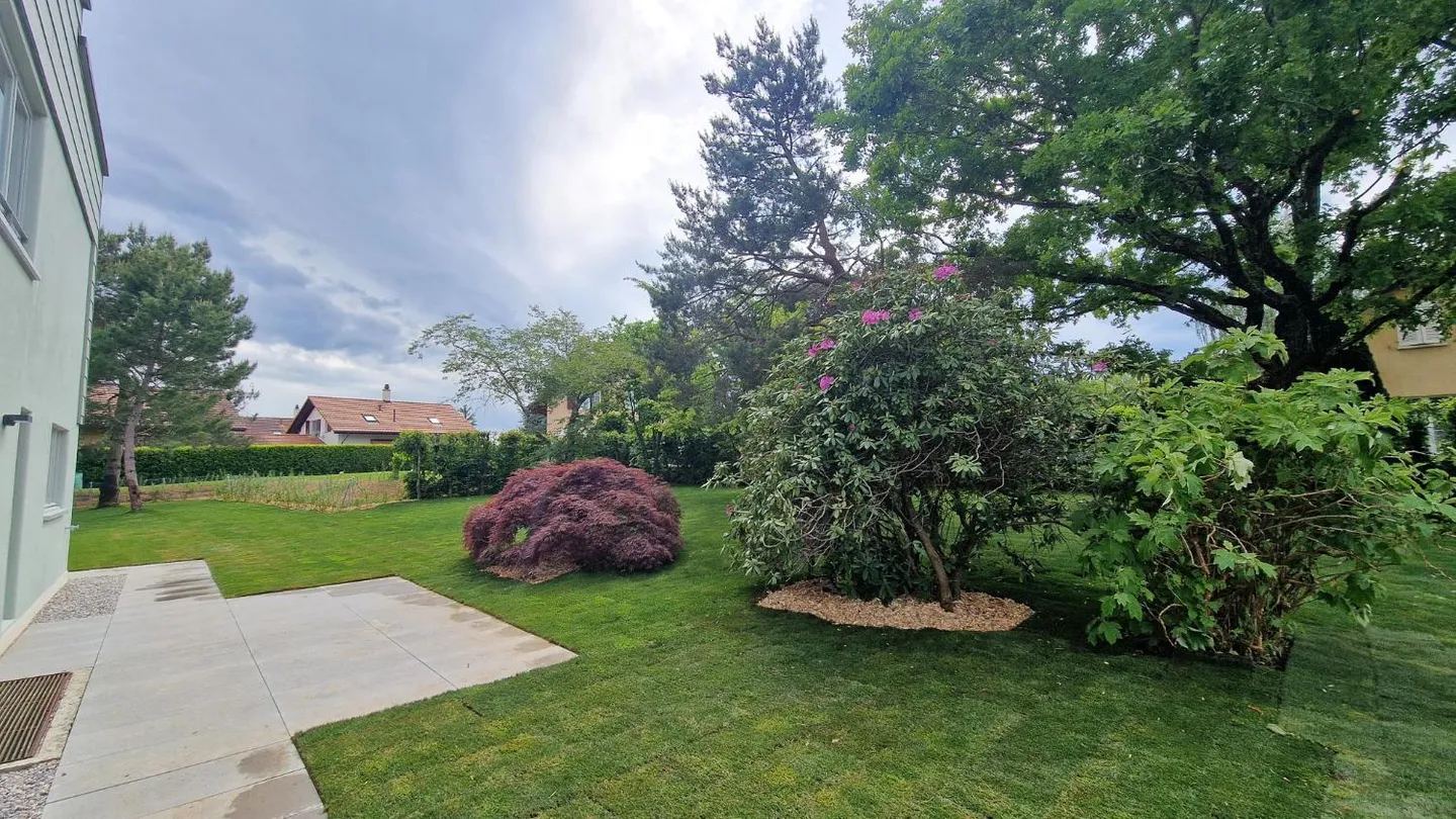 7.5 Room House - Photo 6 of 13