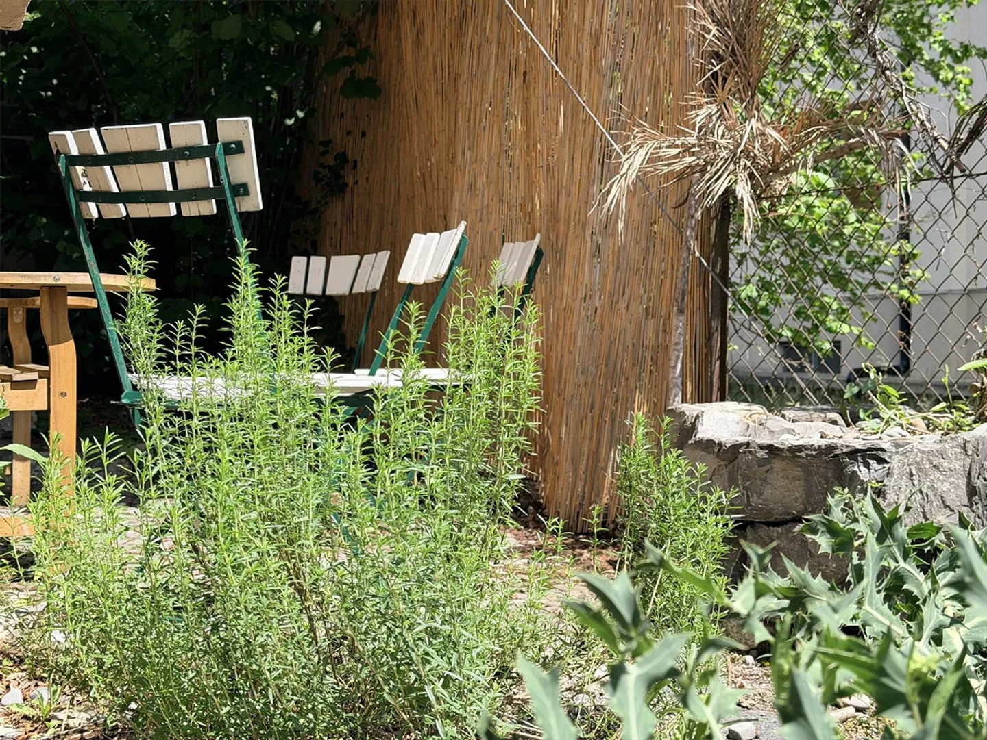 Proprietà commerciale - Foto 18 di 22