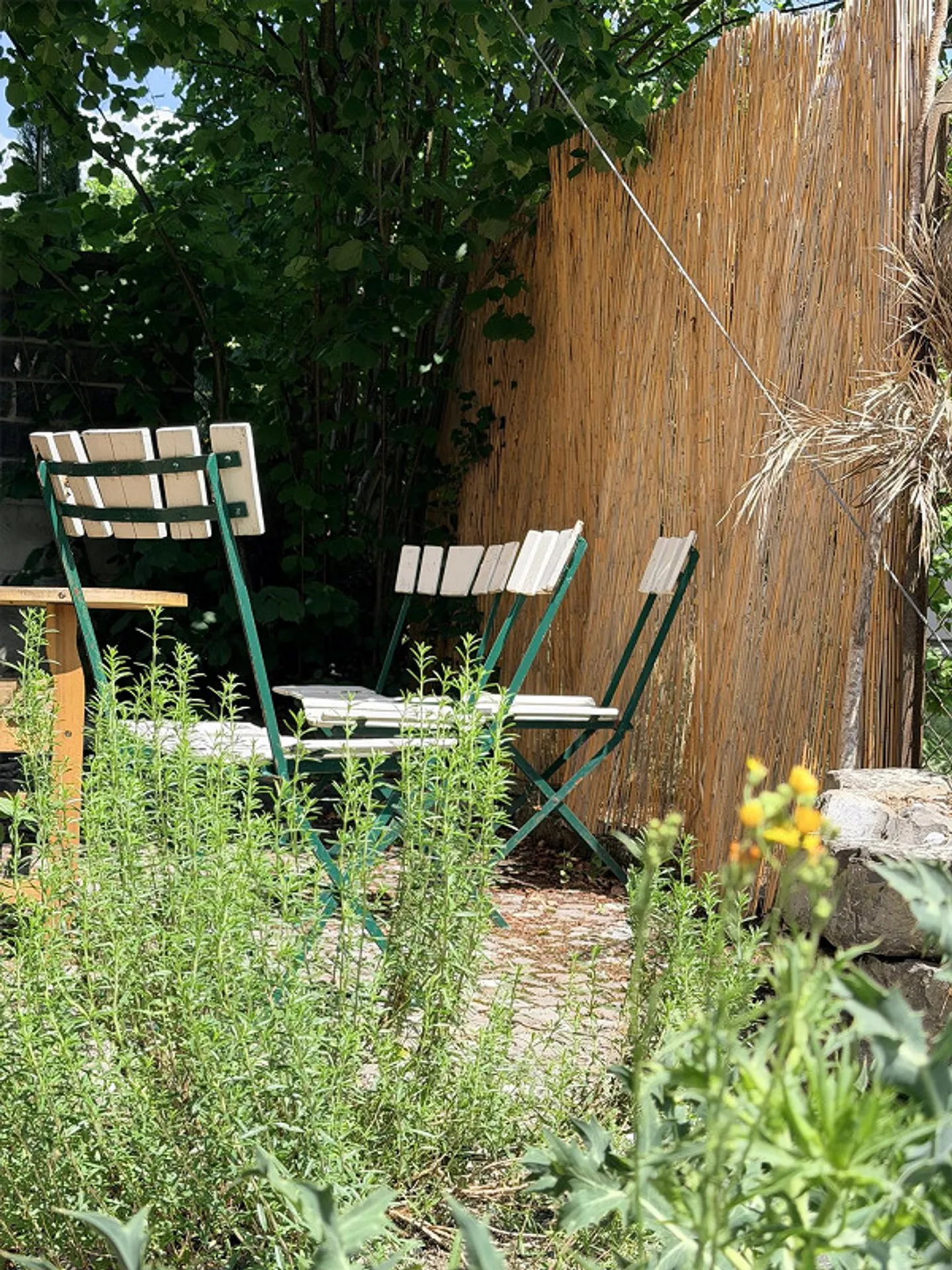 Proprietà commerciale - Foto 17 di 22