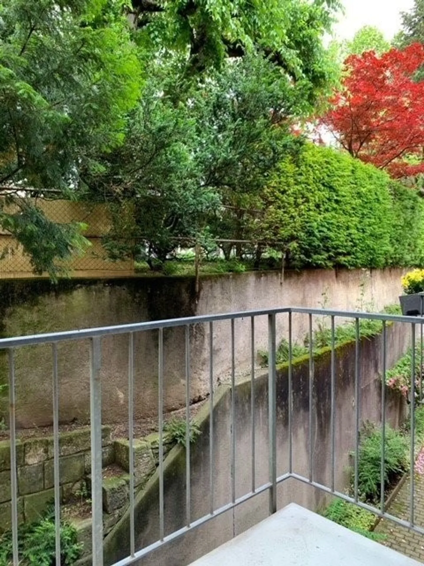 Gioiello a Hegibachplatz - Foto 4 di 8