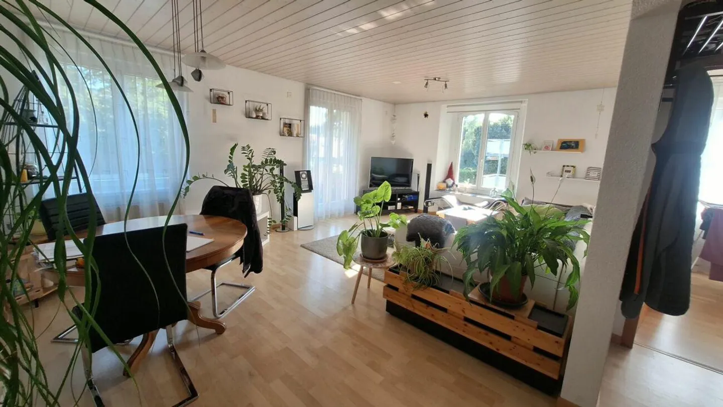 Three-family house with large garage/workshop - Photo 14 of 14