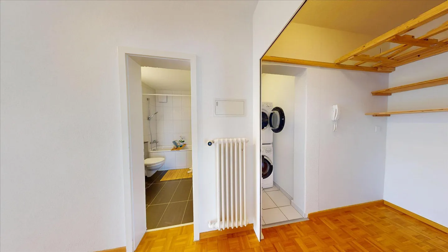 Living Above the Rooftops of Olten - Photo 7 of 8