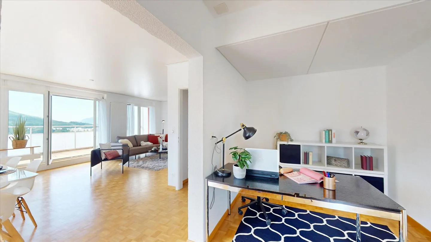 Living Above the Rooftops of Olten - Photo 8 of 8