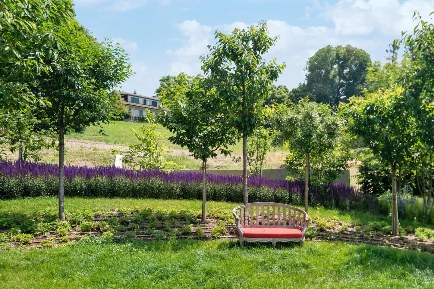 Residenza straordinaria alla periferia di Losanna - Foto 20 di 29