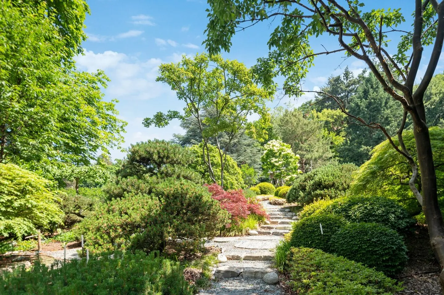 Residenza straordinaria alla periferia di Losanna - Foto 24 di 29