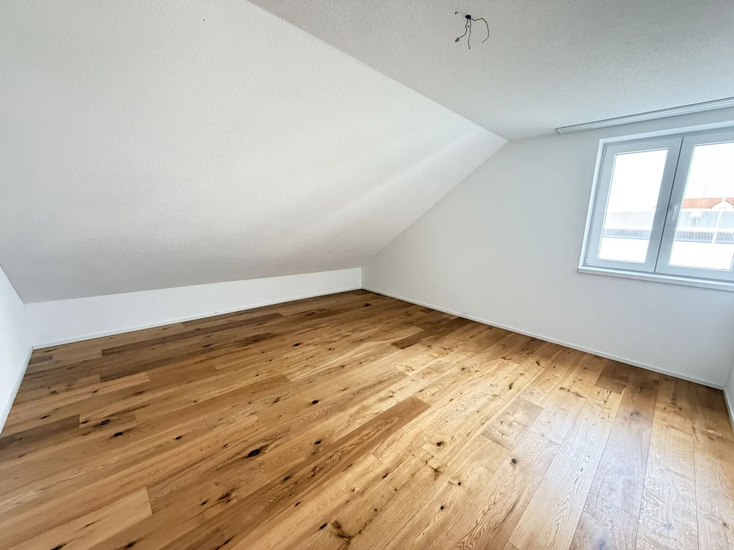 5.5 Room Apartment - Photo 10 of 18