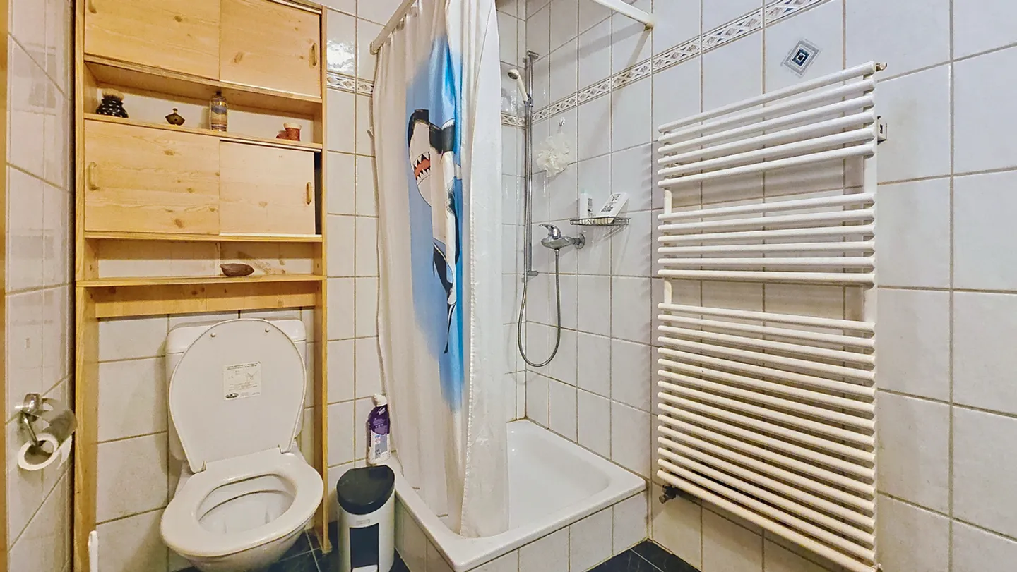 Old farmhouse with 2 apartments (no neighbors) in Chandossel / FR - Photo 14 of 25