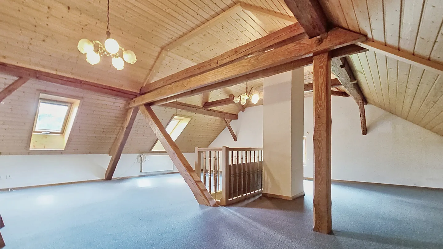 Old farmhouse with 2 apartments (no neighbors) in Chandossel / FR - Photo 17 of 25