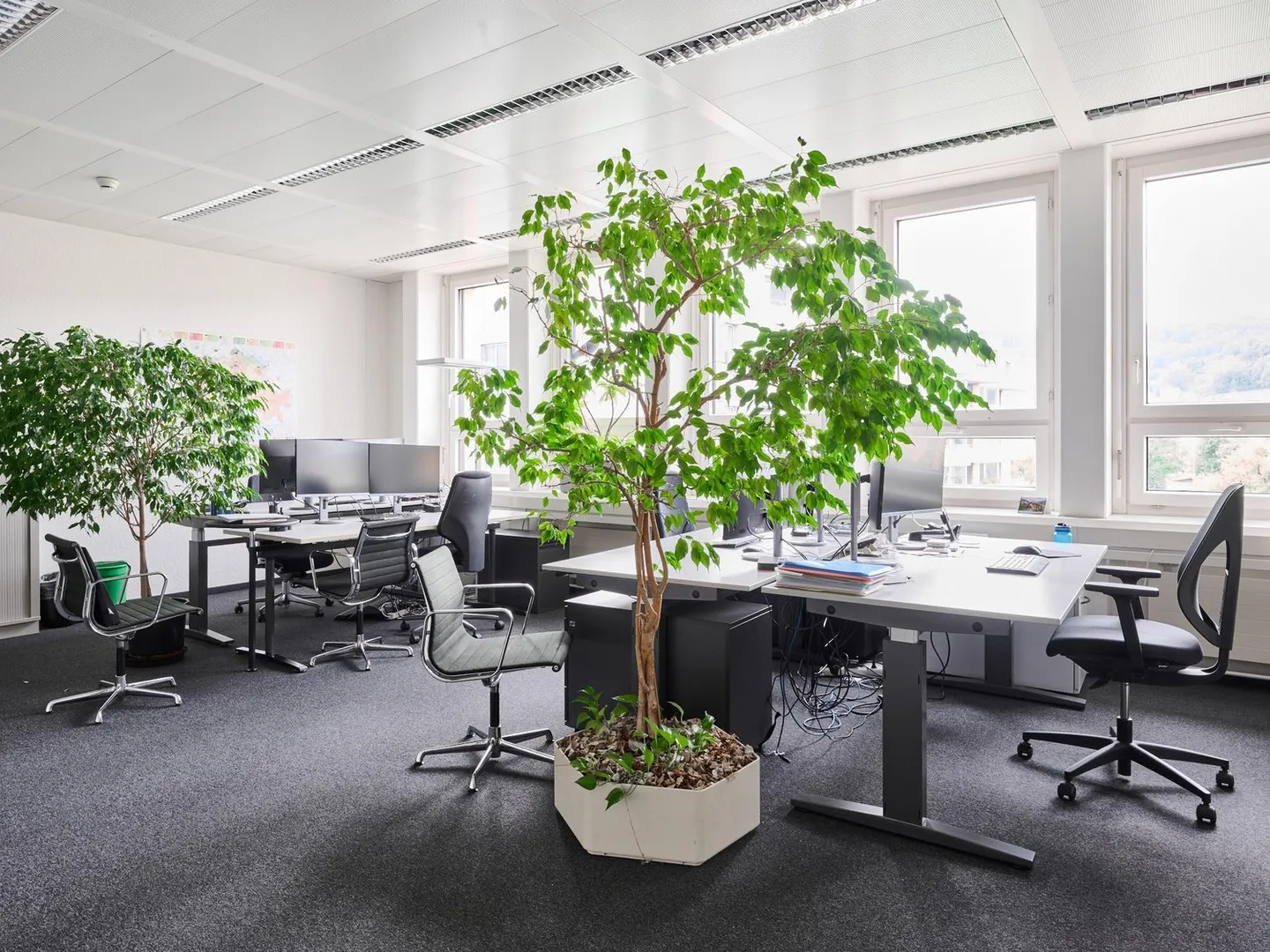 Attractive office space with terrace in Freilager Zurich, 5th floor - Photo 10 of 10