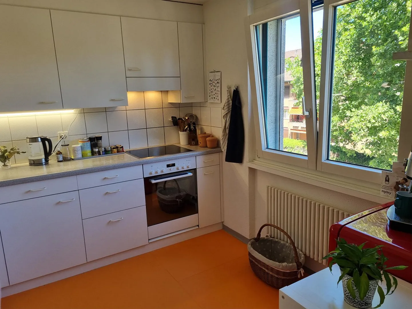 Appartamento 5.5 locali a Frauenfeld - Foto 1 di 10