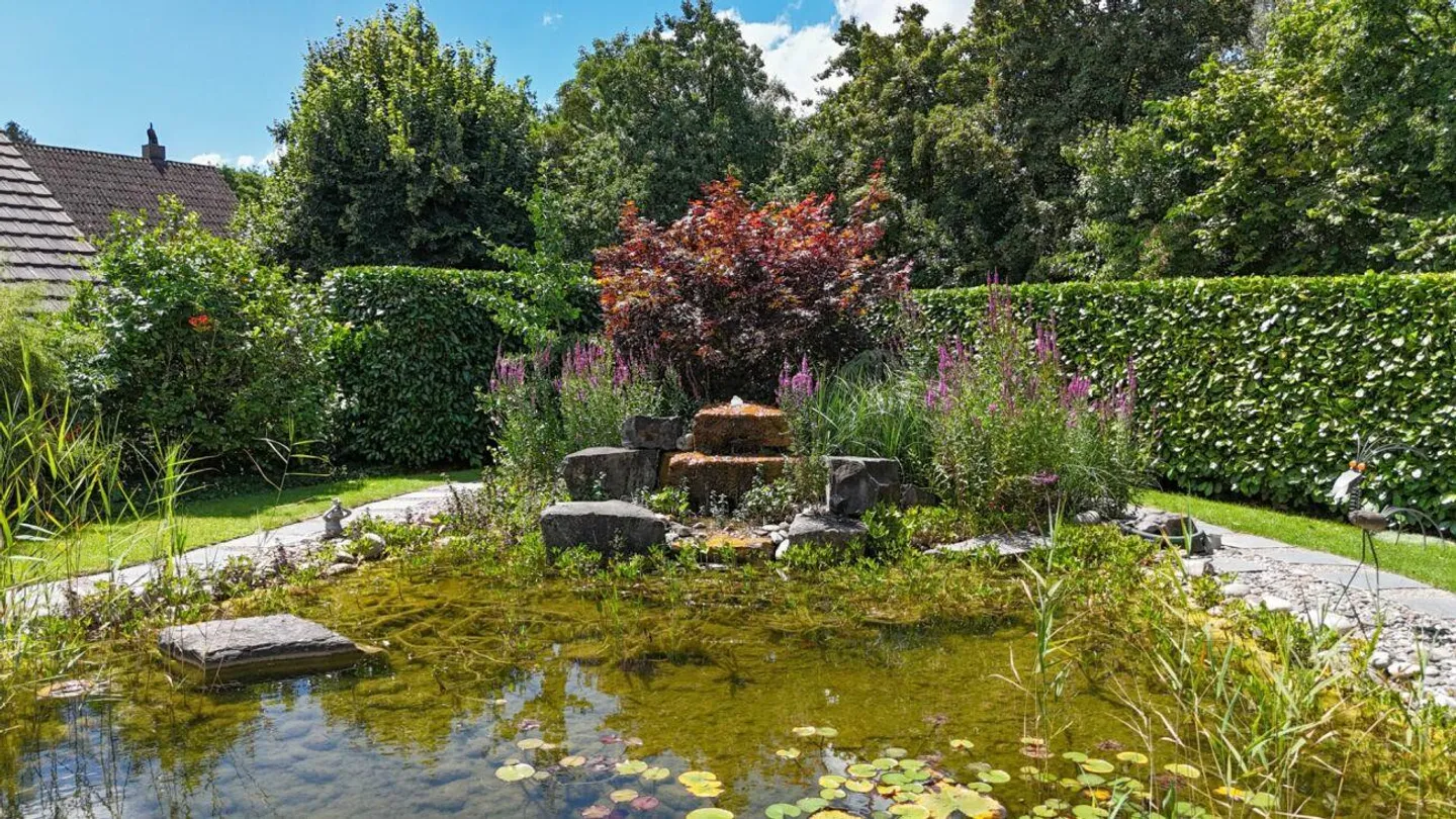 Architectural Jewel with Gallery, Garden Paradise and Natural Pond - Photo 23 of 26