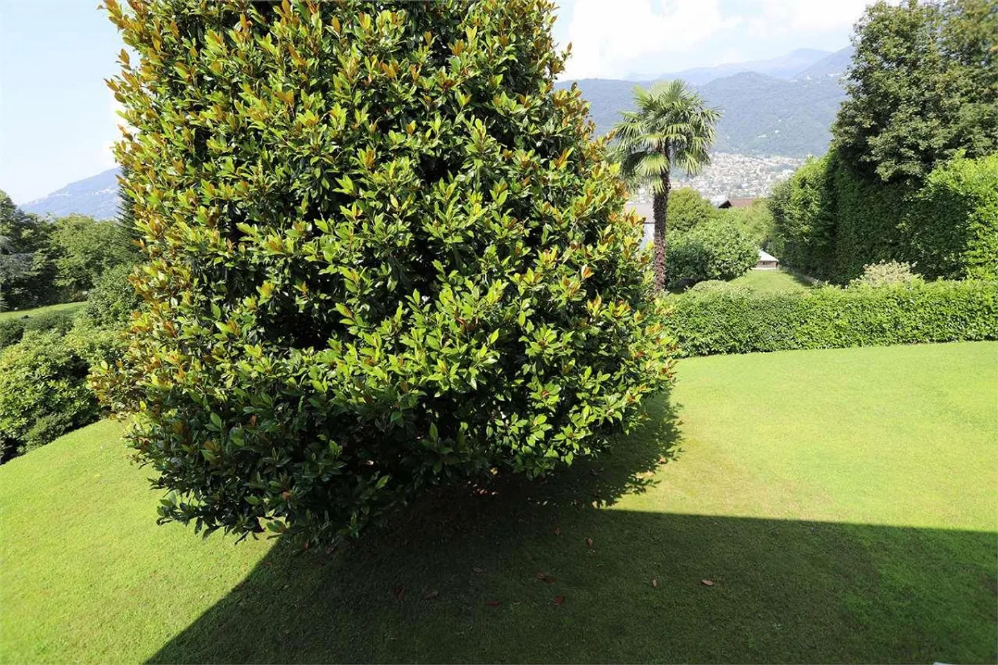 SORENGO INTROVABILE TERRENO EDIFICABILE - Foto 1 di 1