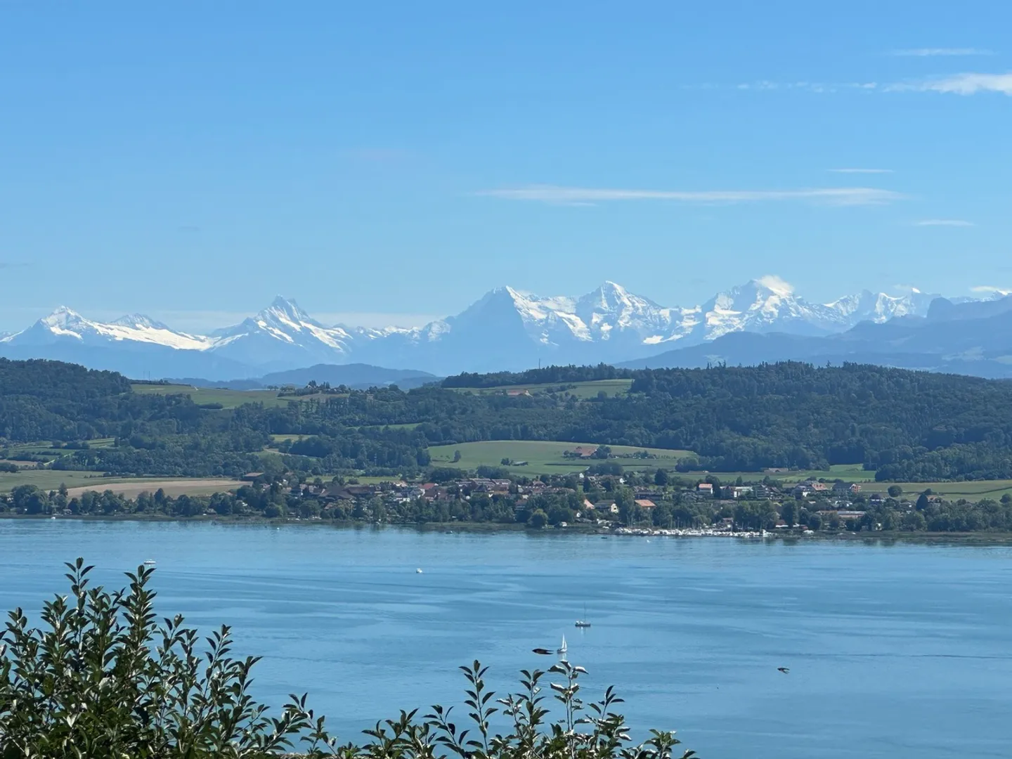 TERRENO CON VISTA INCREDIBILE SUL LAGO DI MORAT - Foto 1 di 13