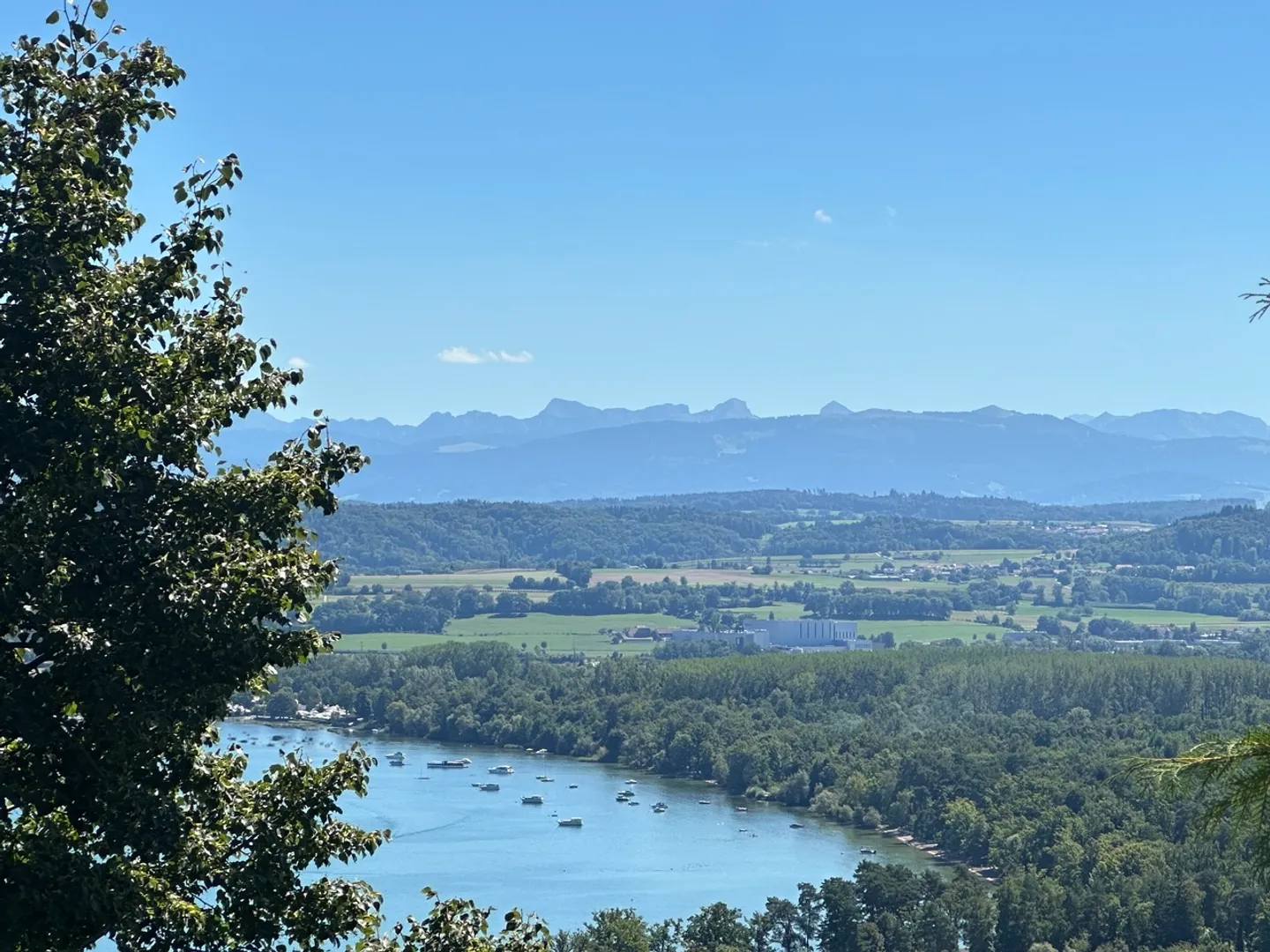 TERRENO CON VISTA INCREDIBILE SUL LAGO DI MORAT - Foto 4 di 13
