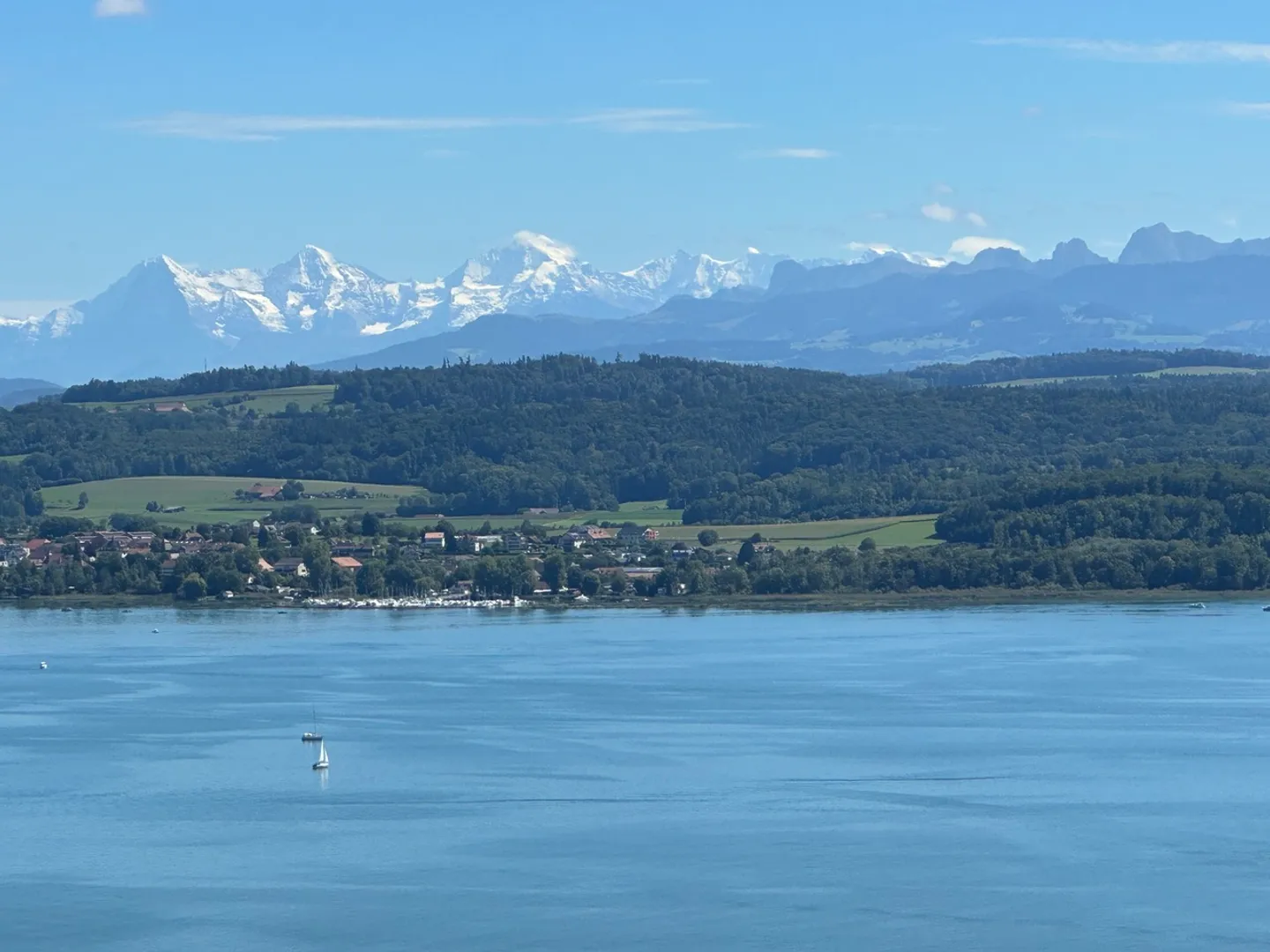TERRENO CON VISTA INCREDIBILE SUL LAGO DI MORAT - Foto 8 di 13