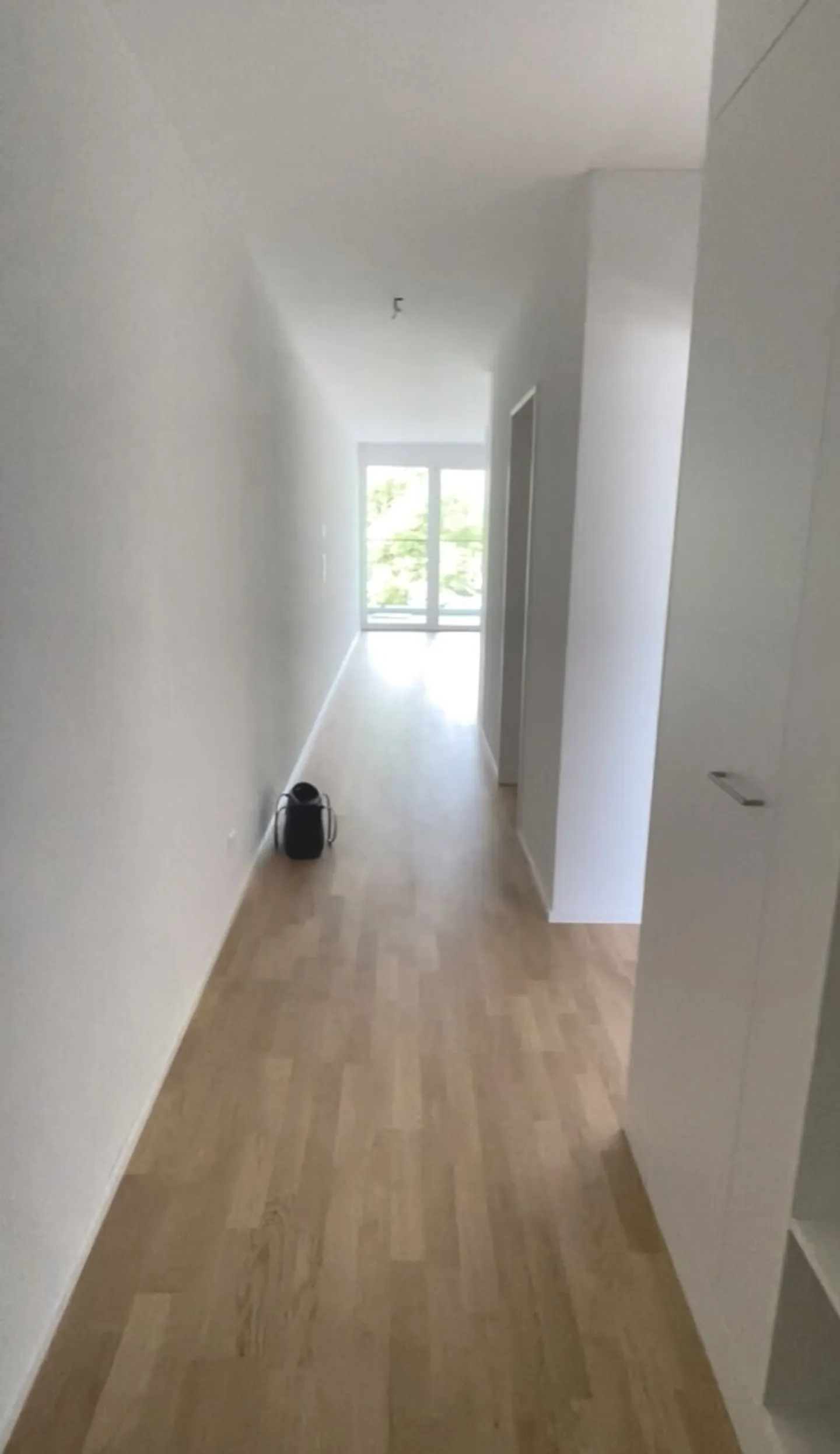 Appartamento in affitto - Foto 3 di 6
