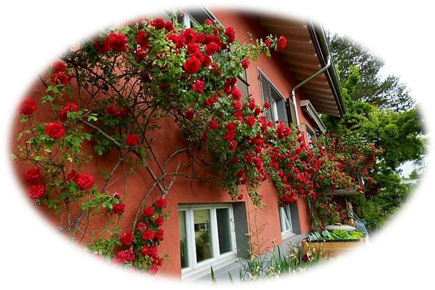 Charmantes freistehendes Haus in Reinach - Foto 3 von 13