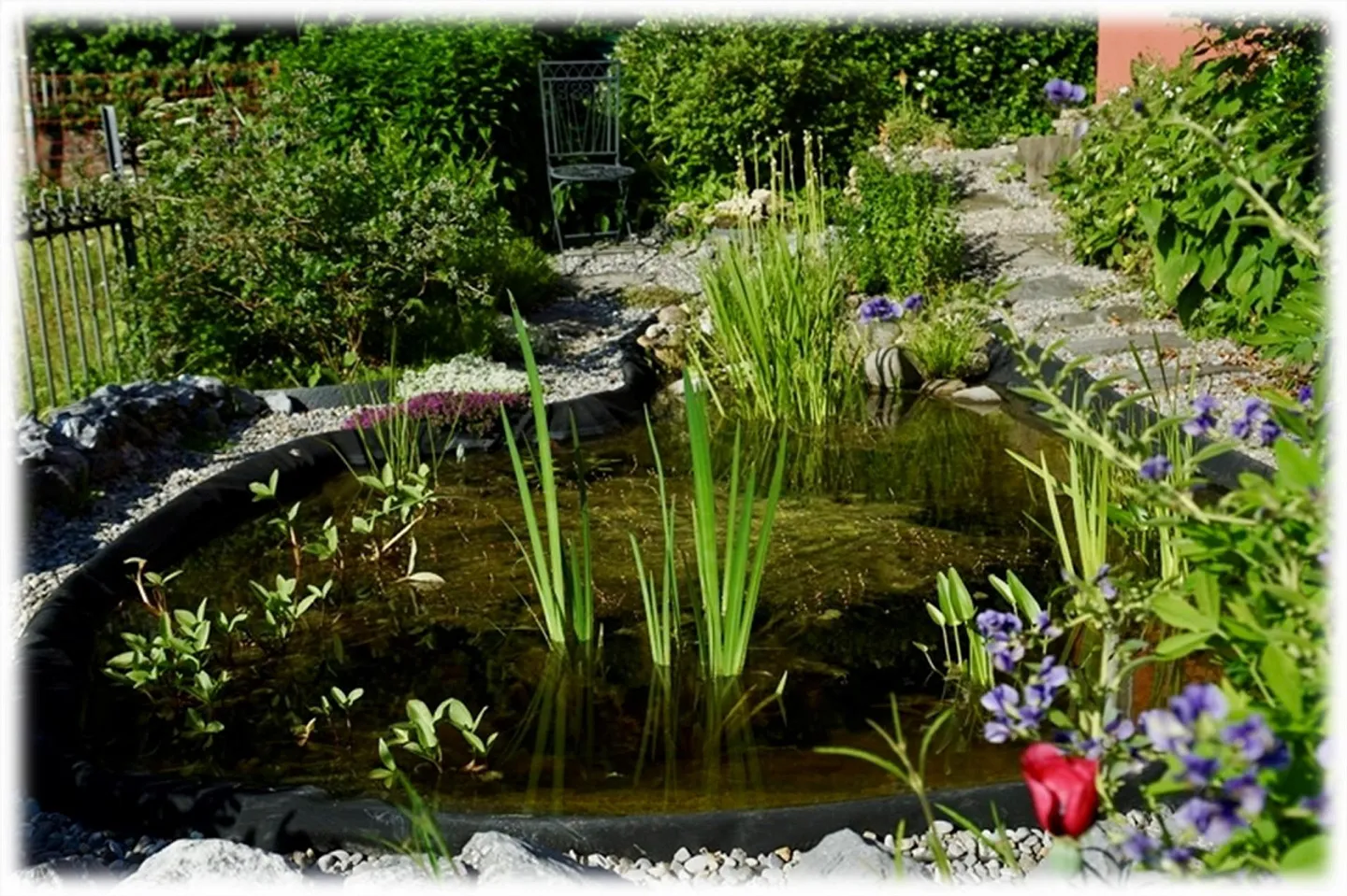 Charmantes freistehendes Haus in Reinach - Foto 4 von 13