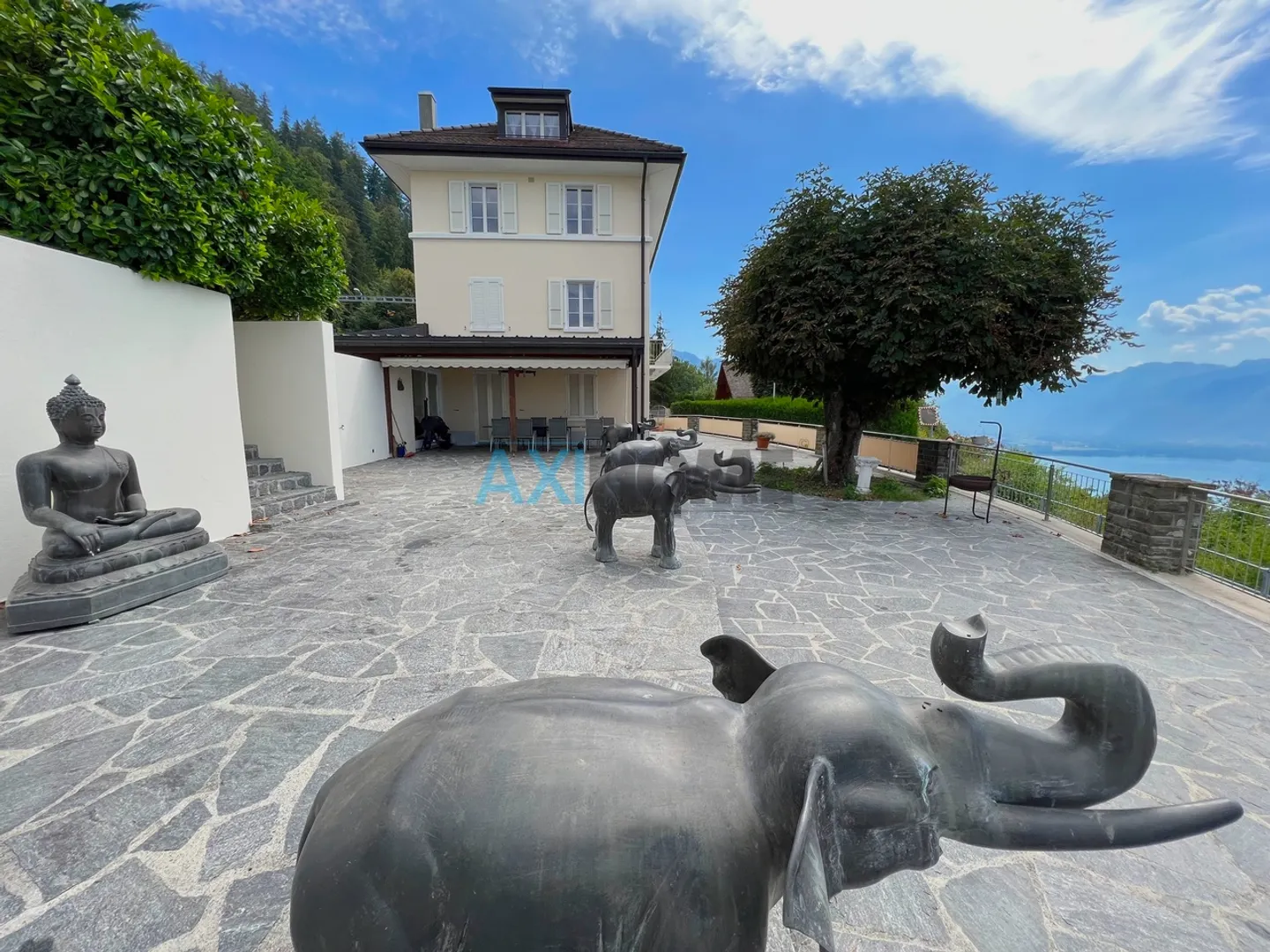 IN ESCLUSIVA! Villa padronale con vista panoramica su Montreux - Foto 4 di 27