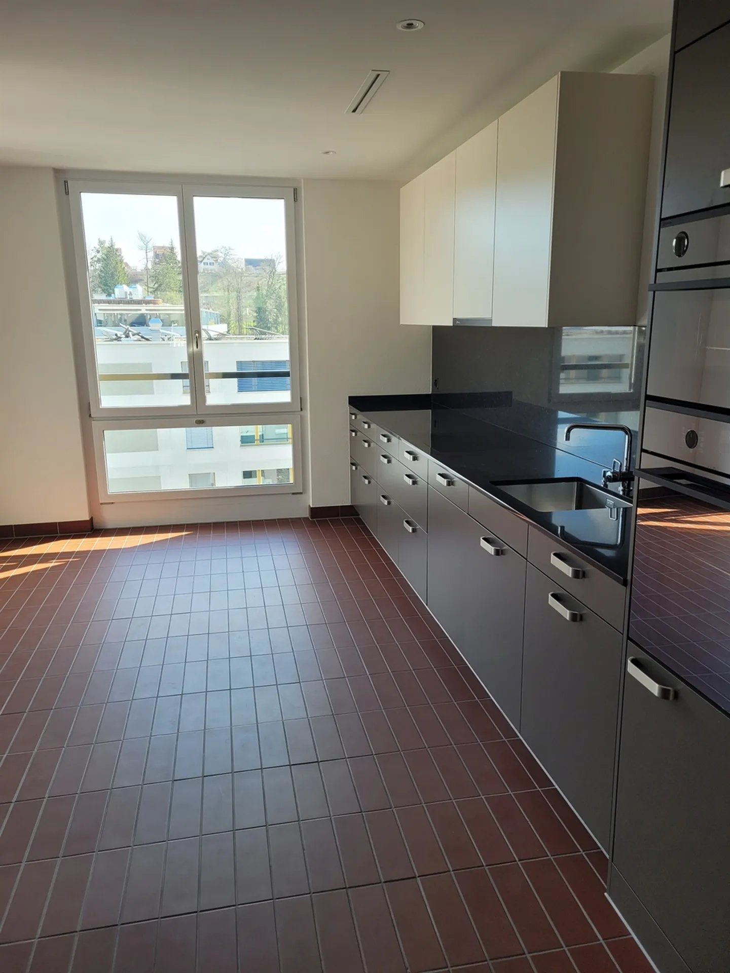 Top modern apartment on the Sihl - Photo 2 of 5