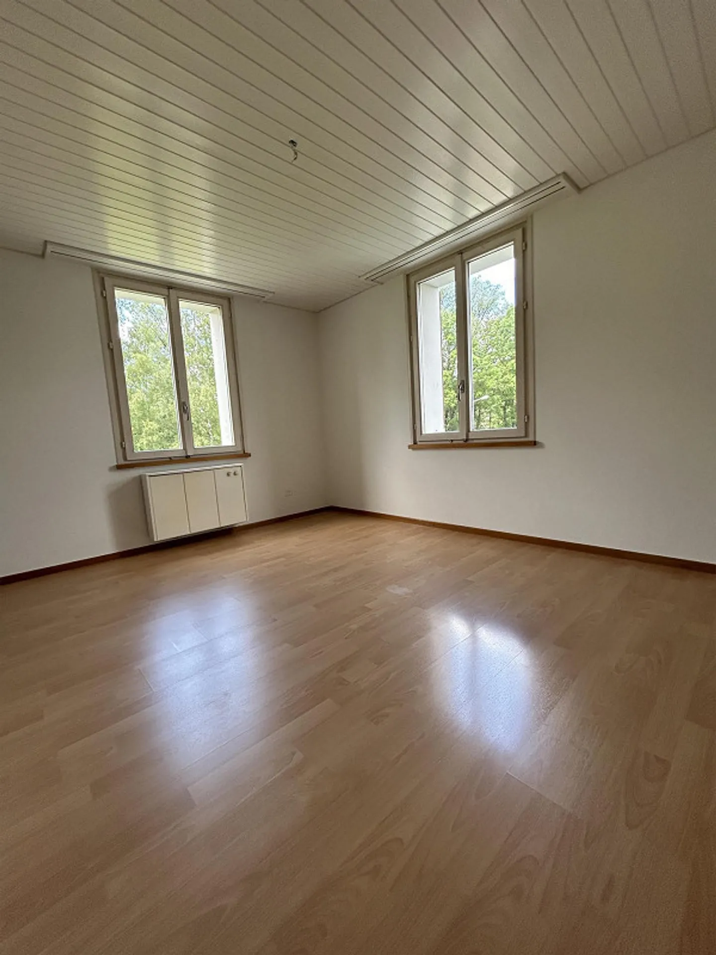 Bella appartamento di 4 stanze con charme - Foto 7 di 18