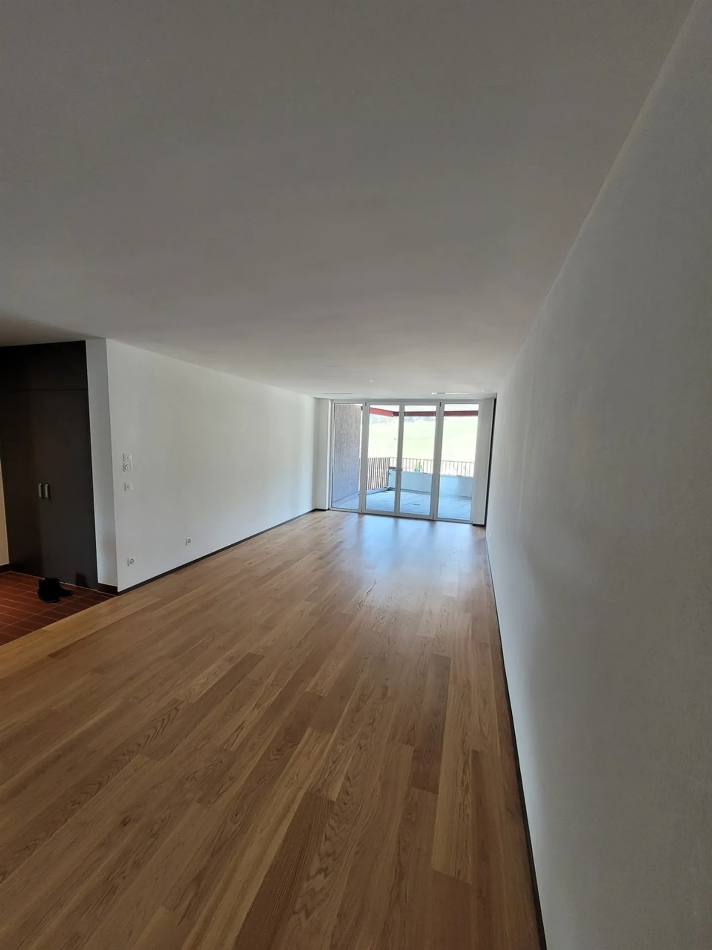 Top modern apartment on the Sihl - Photo 4 of 5