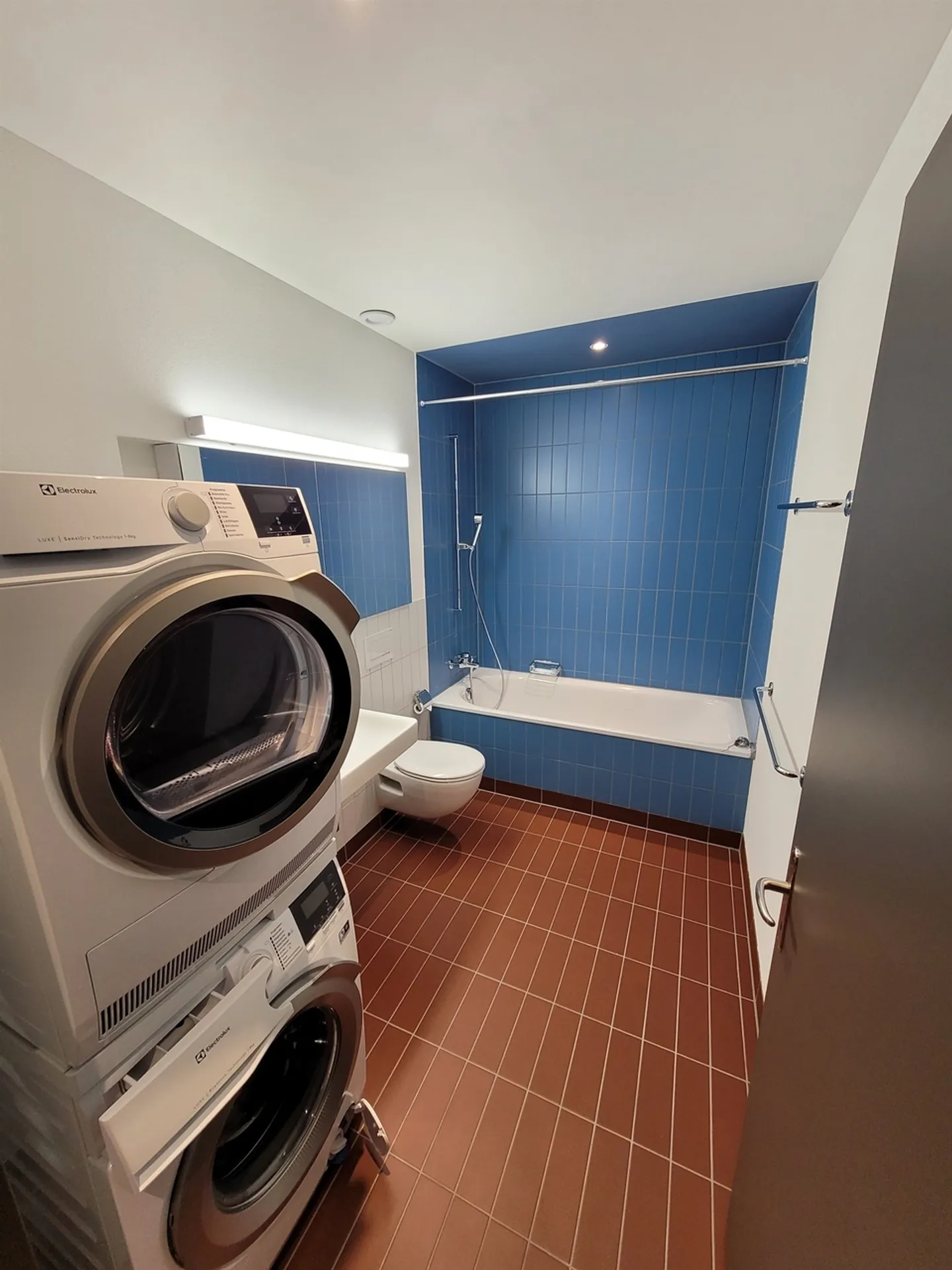 Top modern apartment on the Sihl - Photo 5 of 5