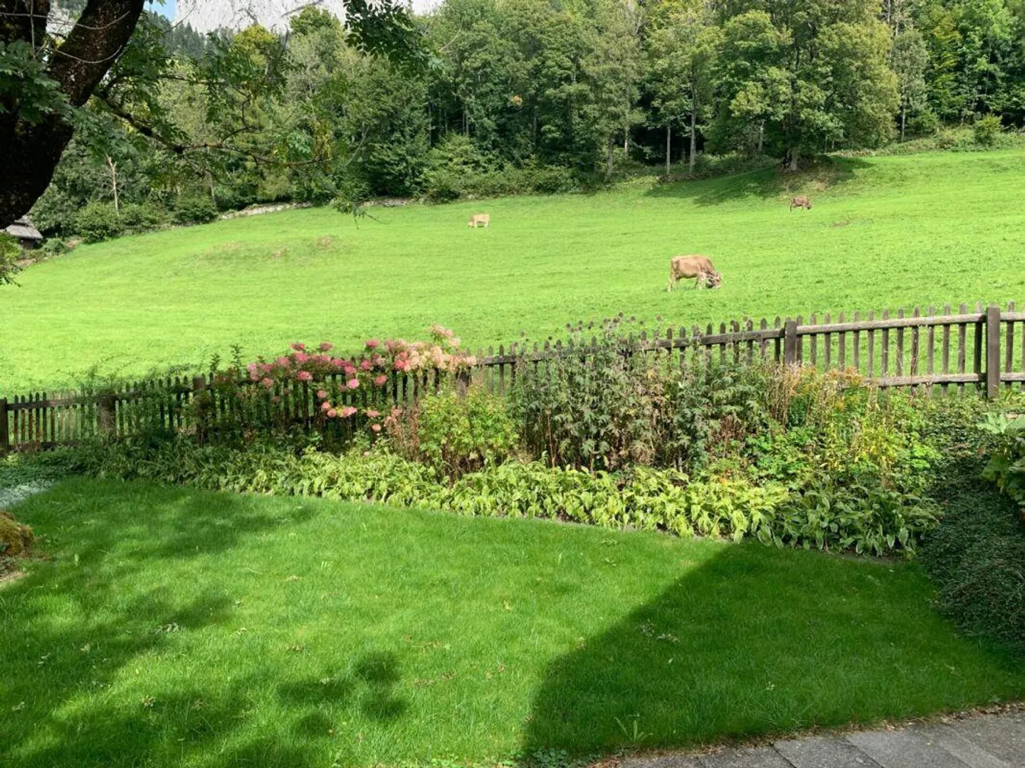Einfamilienhaus im Grünen mit Top Aussicht und Umschwung - Foto 14 von 15