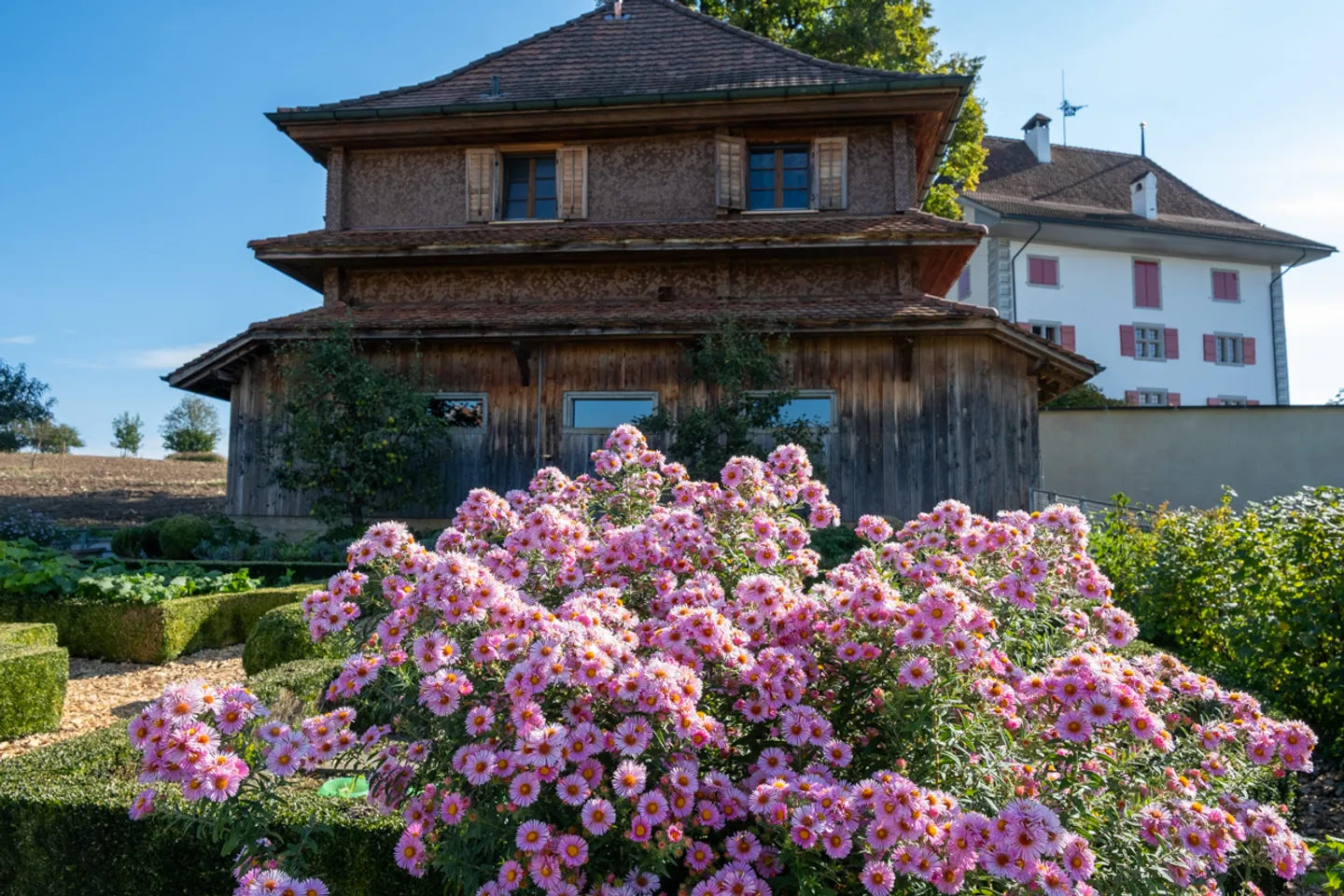 Renovated 7-Room Farmhouse - Photo 3 of 24