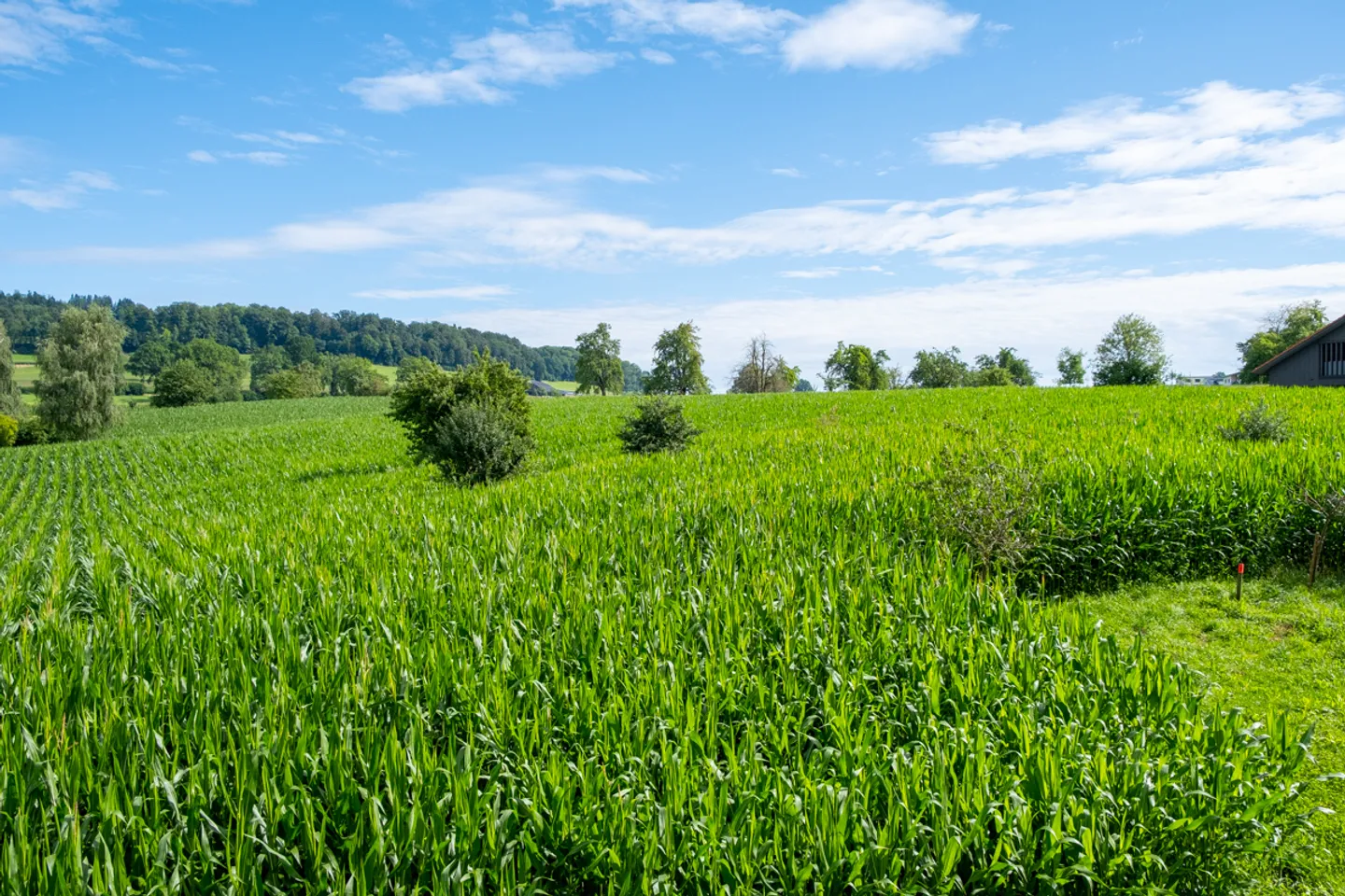 Renovated 7-Room Farmhouse - Photo 23 of 24