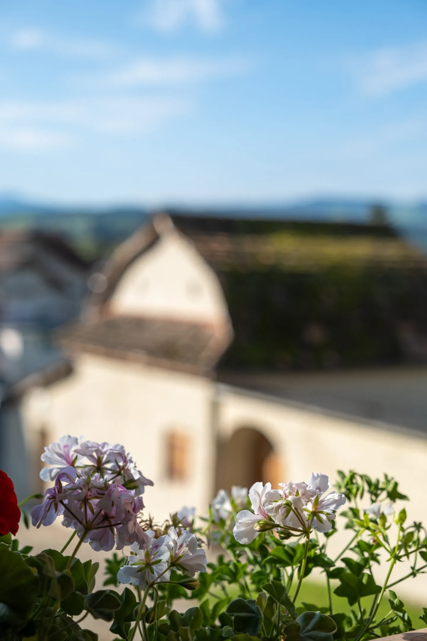 Renovated 7-Room Farmhouse - Photo 24 of 24