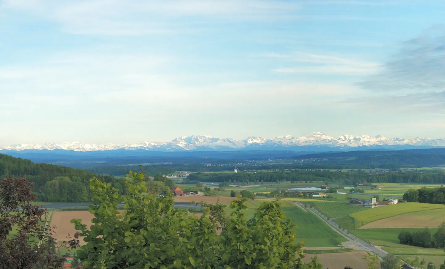 Traumlage mit Fernsicht bis in die Alpen - Foto 6 von 7