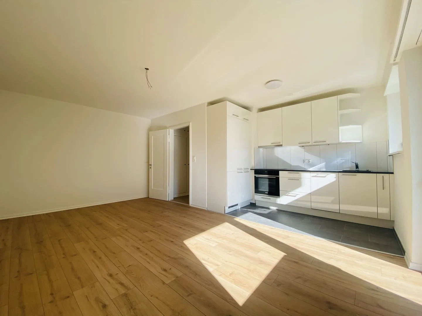Appartamento 2.5 stanze completamente ristrutturato con balcone e cantina (1013) - Foto 1 di 9