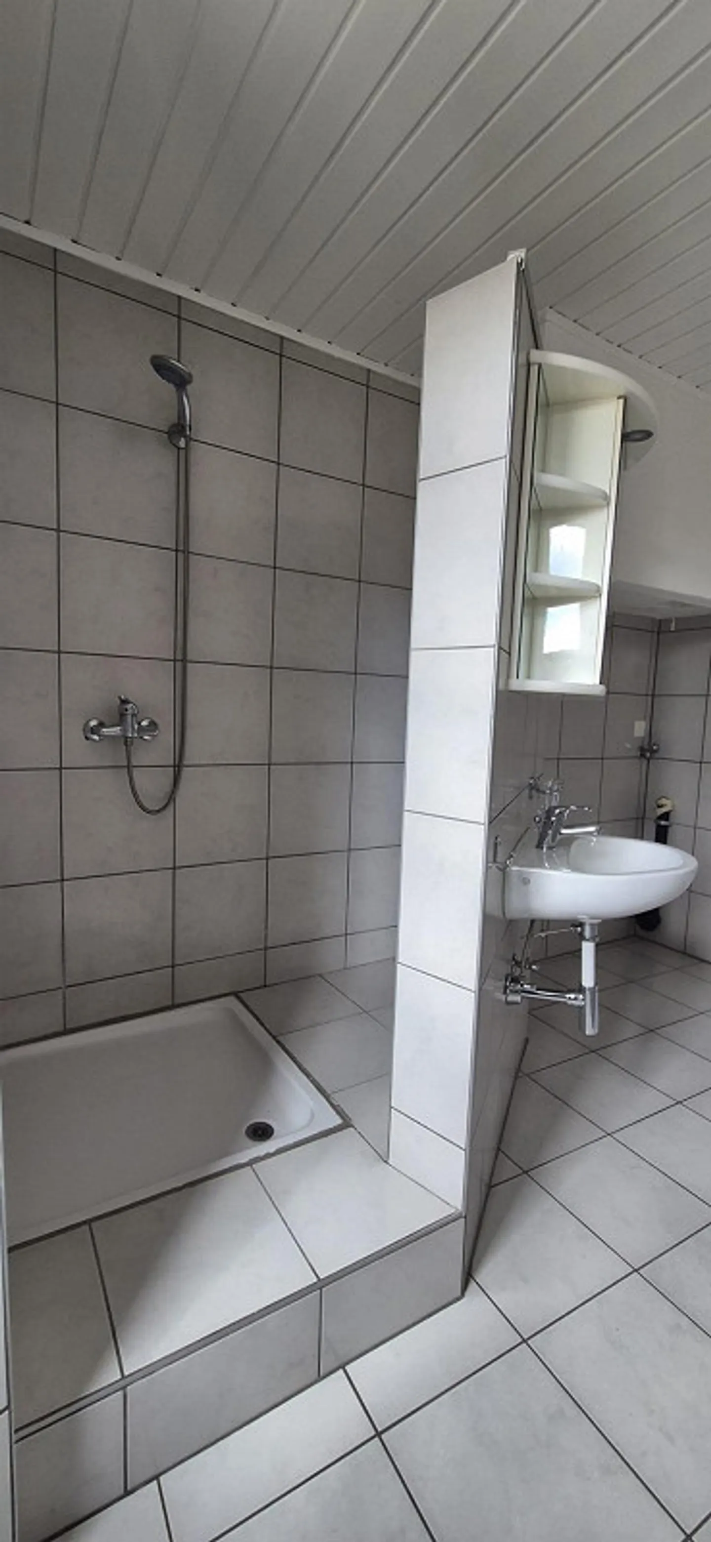 Geräumige Wohnung mit grosser Terrasse - Foto 9 von 10