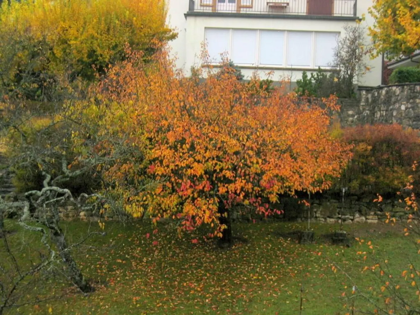 Ici, vous vous sentirez chez vous - Photo 2 sur 7
