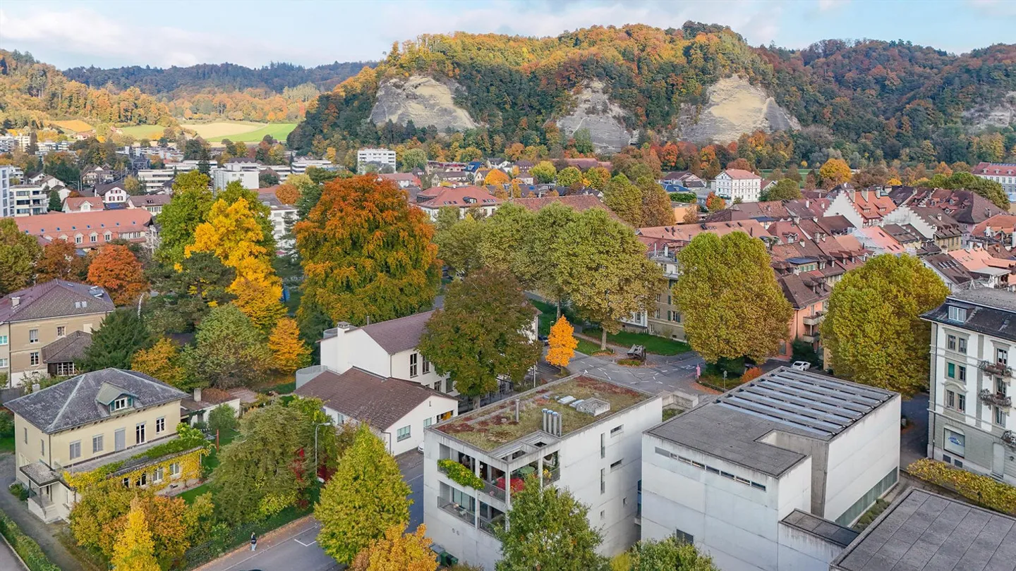 Terrace Apartment at the Franz Gertsch Museum - Photo 22 of 25