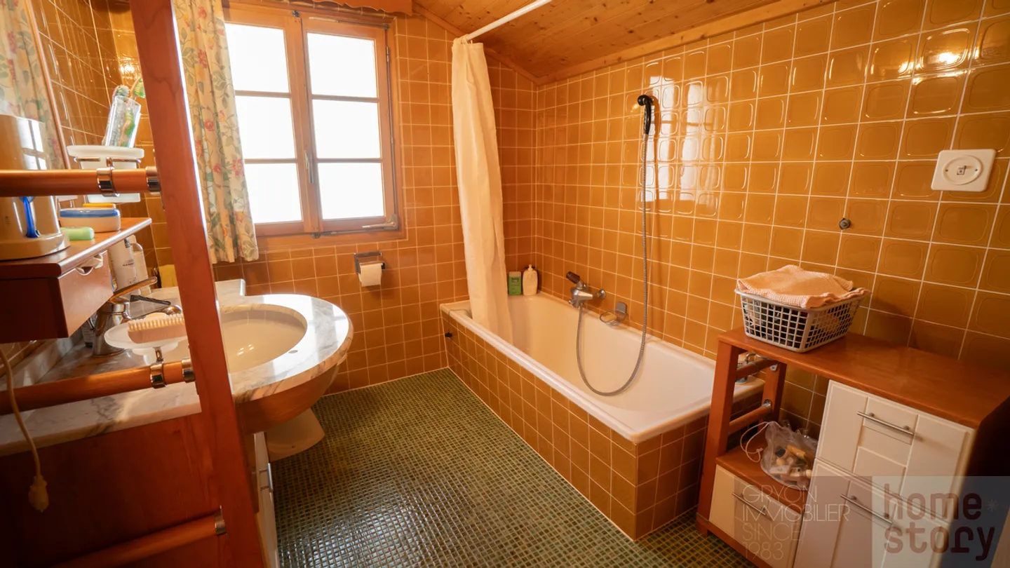 Chalet a Gryon con terreno, tranquillo, vicino agli impianti sciistici, residenza secondaria - Foto 20 di 22