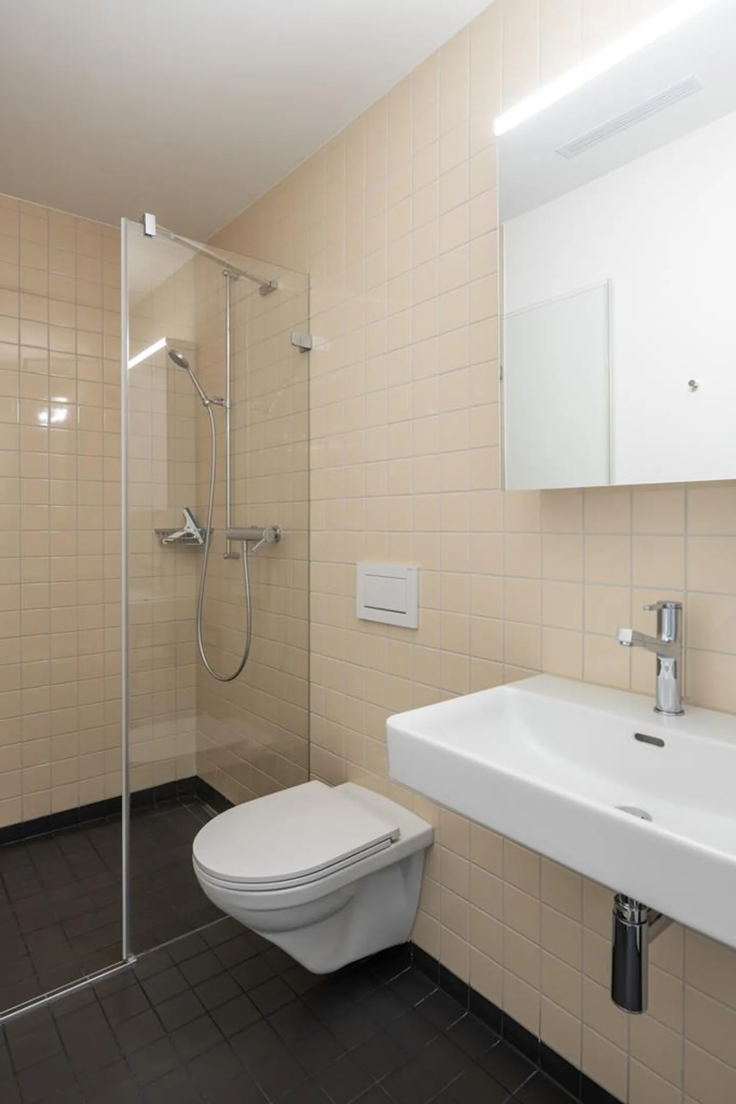 Appartamento 4.5 stanze - Foto 5 di 6