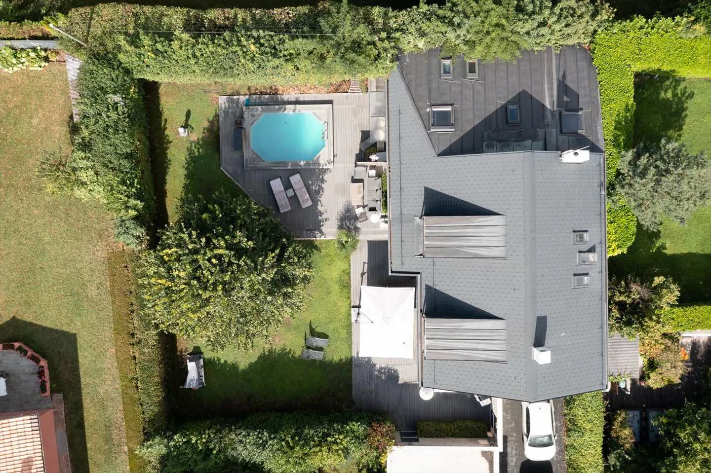 Magnifica villa indipendente di 9 stanze con studio indipendente a Corsier GE - Foto 4 di 17