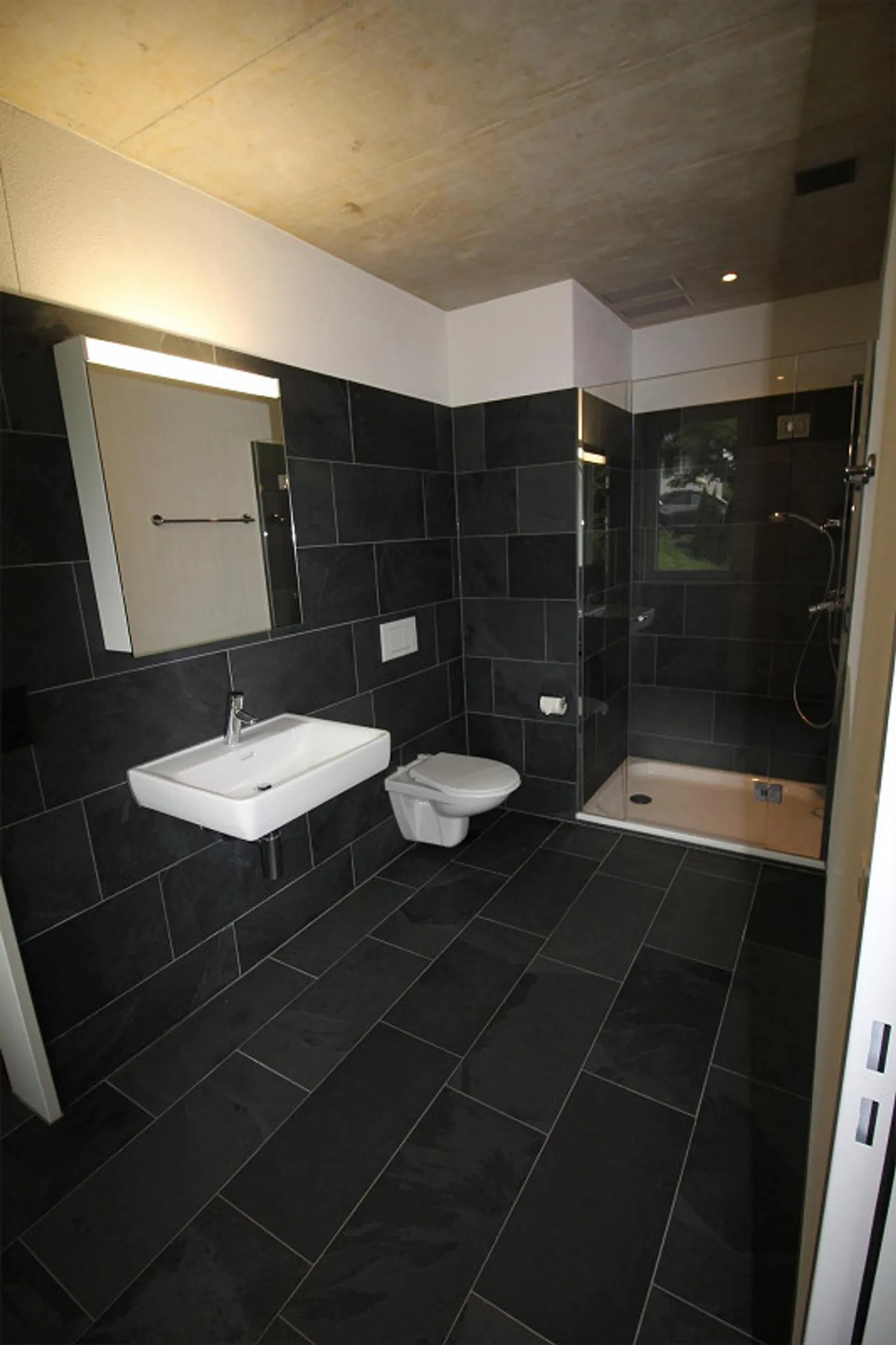 Votre maison dans le Staubernpark / M1-2510 - Photo 5 sur 10