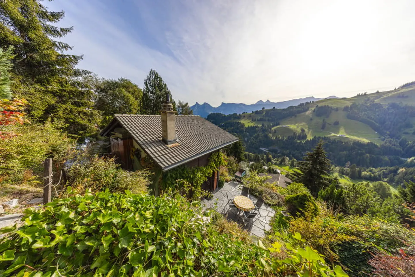 Ein Moment der Ruhe am Waldrand und am Fuß des Berges - Foto 4 von 13