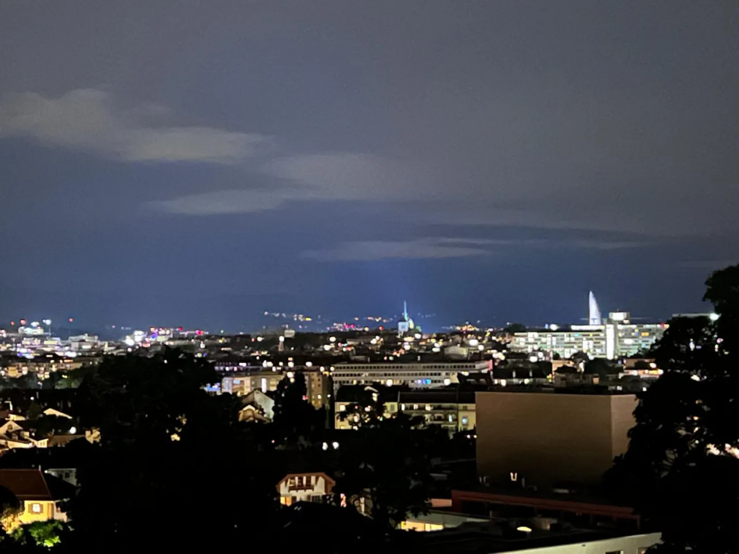 Contemporary apartment with dominant view of Geneva, in a green setting - Photo 3 of 9